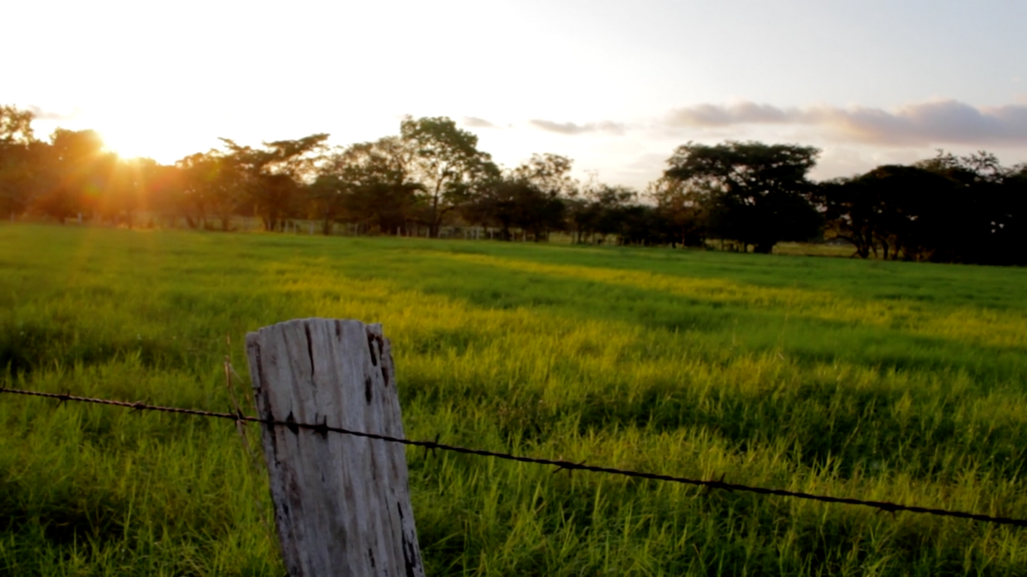Libertad: A song for my birth mother