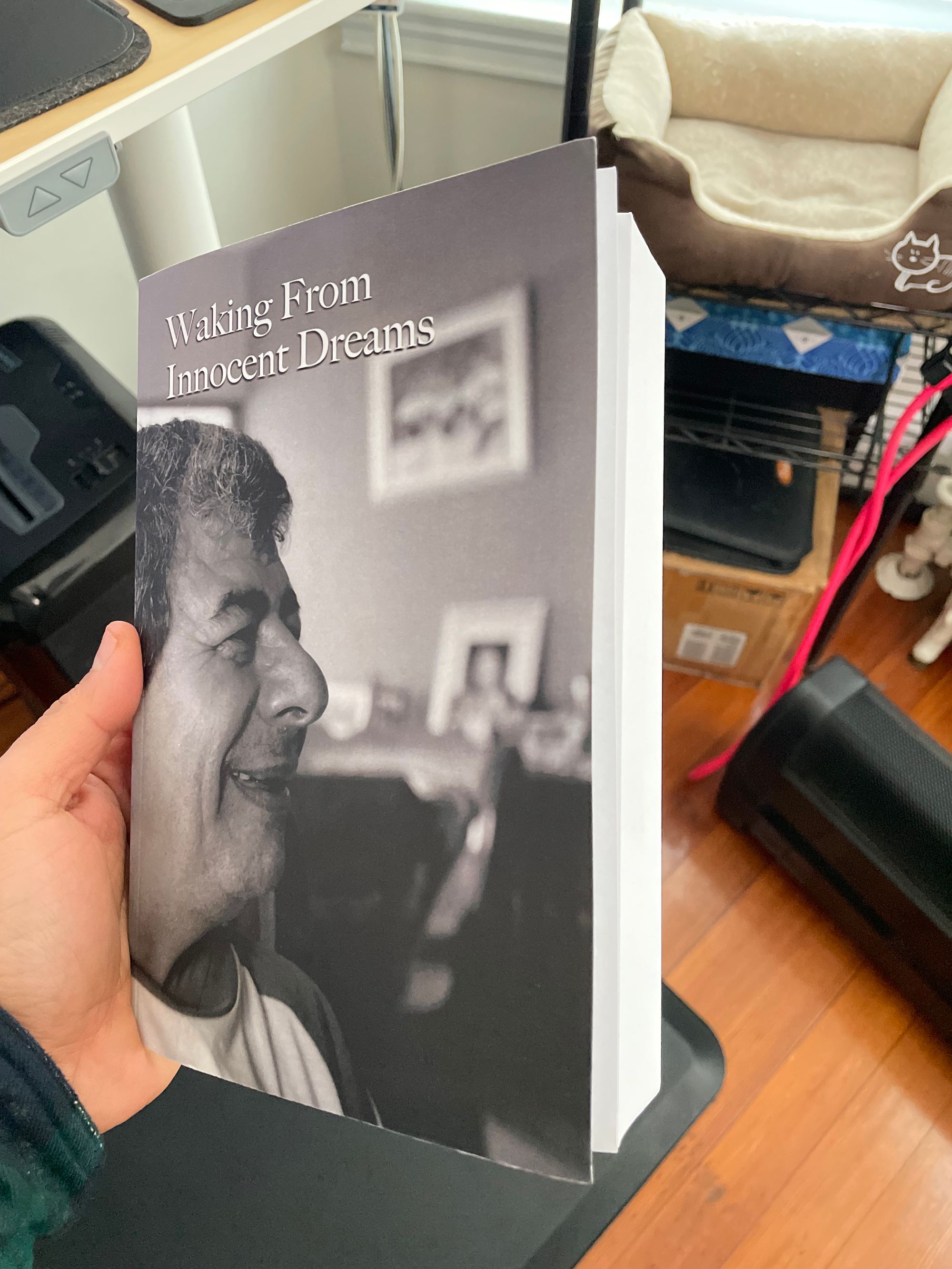 Innocent Dreams: Author Update, January 2022