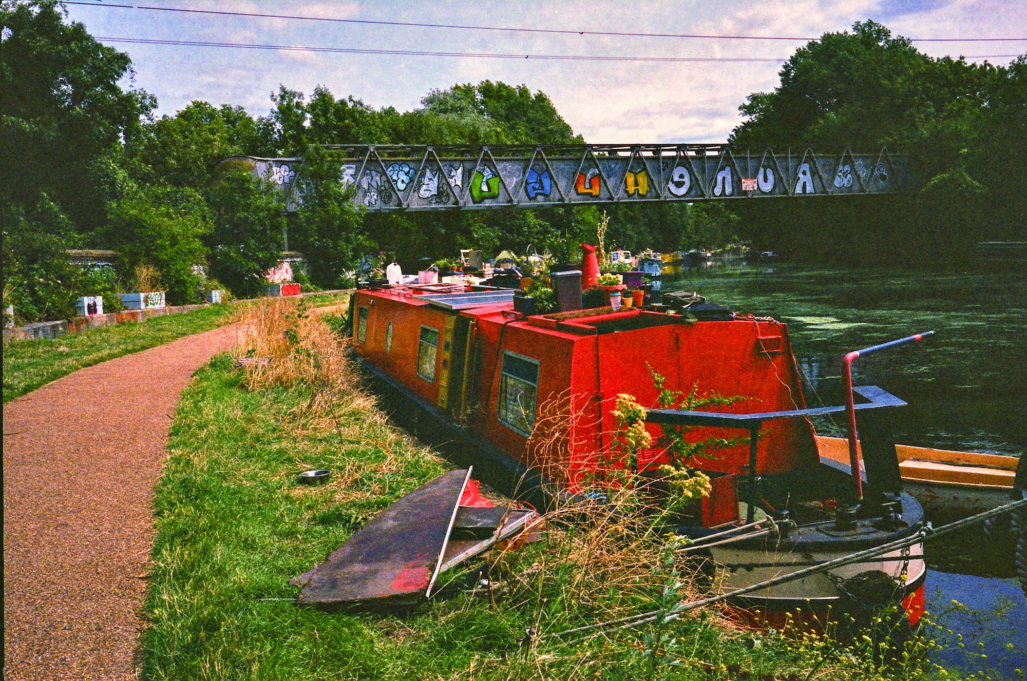 Film Photographs from 2024/2025